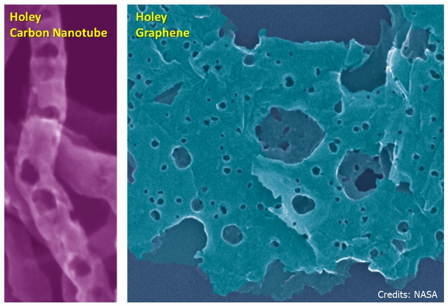 Electron Microscopy Images of Holey Carbon Nanotubes and Holey Graphene